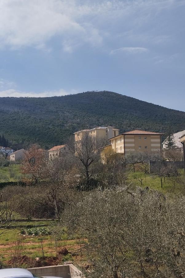 Pansion Danijel Ξενοδοχείο Međugorje Δωμάτιο φωτογραφία