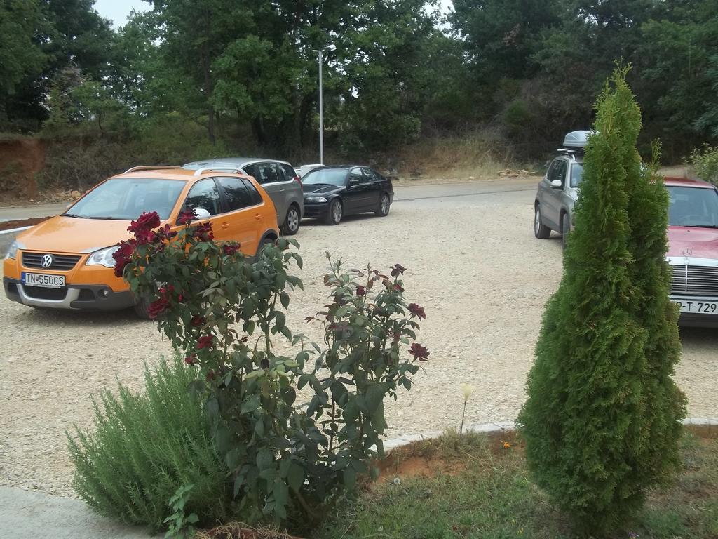 Pansion Danijel Ξενοδοχείο Međugorje Εξωτερικό φωτογραφία